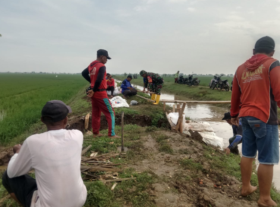 Babinsa Desa Curug Bersama Pemdes dan Poktan Gelar Karya Bakti Perbaikan Tanggul Jebol