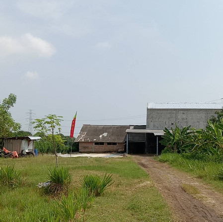 Penggilingan Padi "CASDIRAH"